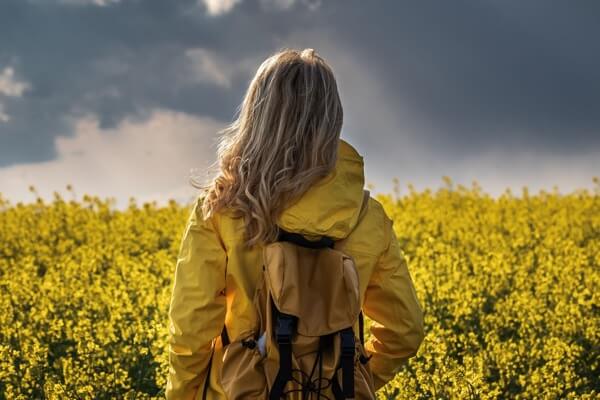 市場の主要リスクに関する見通しがより明確に